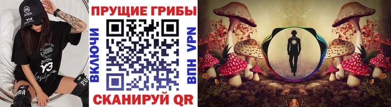 Галлюциногенные грибы Cubensis  дарнет шоп  Белинский 